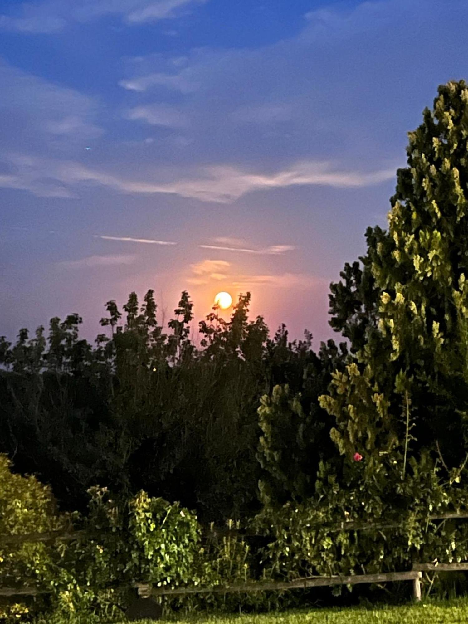 كستليوني ديلي ستفييرا B&B Corte Delle Rose المظهر الخارجي الصورة
